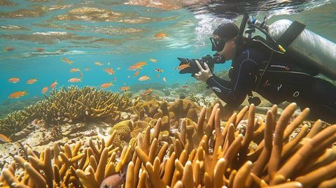 Coral Reef Exploration Helpful Guidance for Planning Safe and Enjoyable Adventures